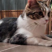 Crapulette-junior adorable #1