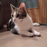 Crapulette-junior adorable