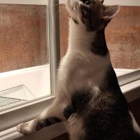 Crapulette-junior adorable #3