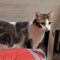 Crapulette-junior adorable #5