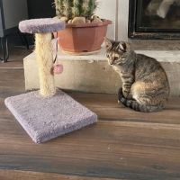 Ania à l’adoption, #0