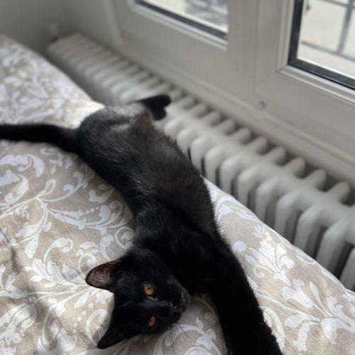 Tao un petit bout câlin comme tout