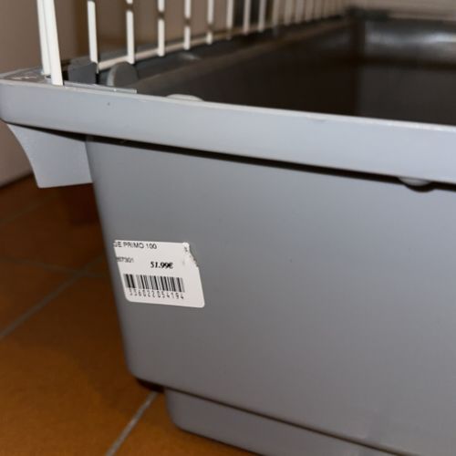 Cochon dinde péruvien à vendre #2