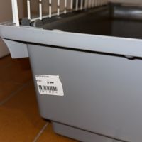 Cochon dinde péruvien à vendre #2