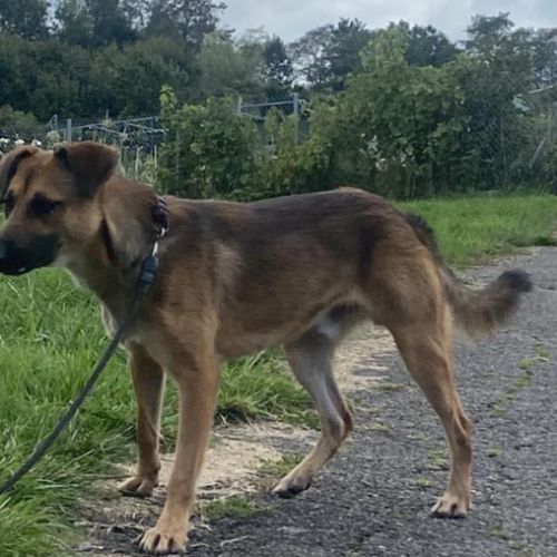 Vroom jeune xberger #1