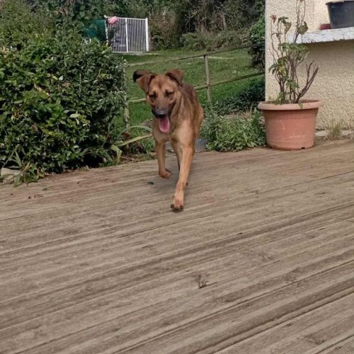 Vroom jeune xberger #4