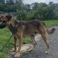 Vroom jeune xberger #1