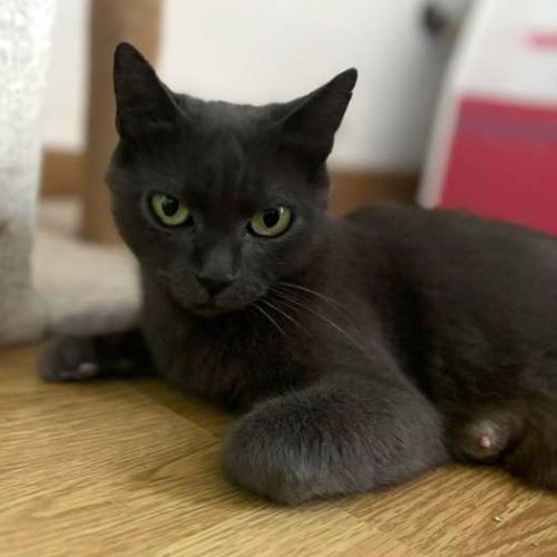 Jade une jeune maman