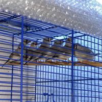 7 diamant mandarin #2