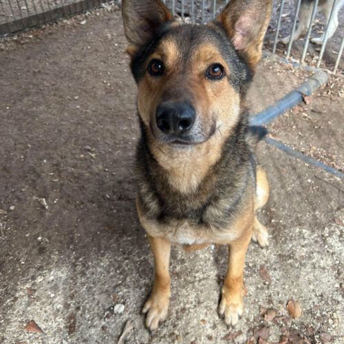 Tucker attend désespérément sa famille... #1