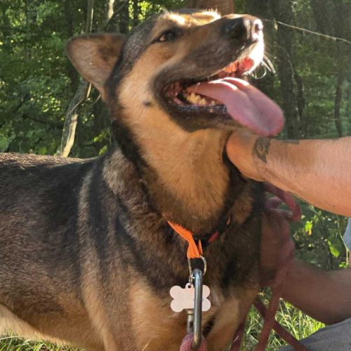 Tucker attend désespérément sa famille...