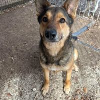 Tucker attend désespérément sa famille... #1