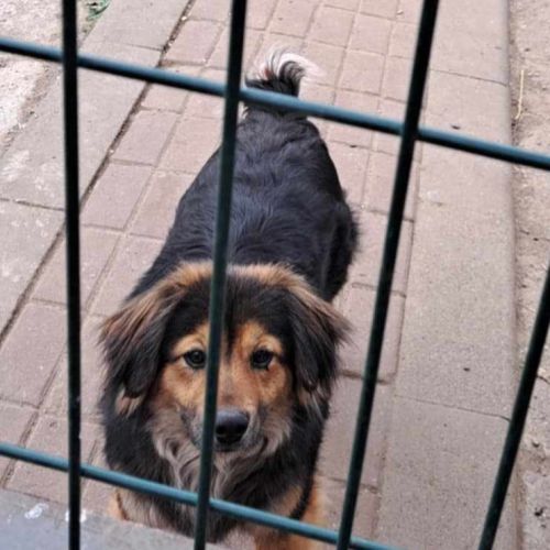 Carla n'a connu que l'abandon et la détresse