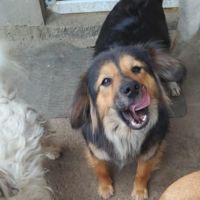 Carla n'a connu que l'abandon et la détresse #2