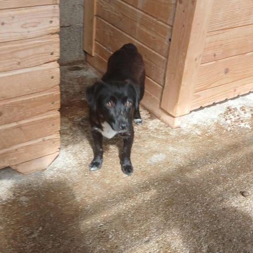 Tasha attend patiemment une famille #2