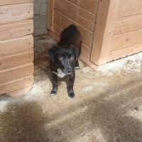 Tasha attend patiemment une famille #2