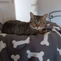 Astra et avana en double adoption #3