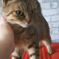 Adorable minette-romarine #5