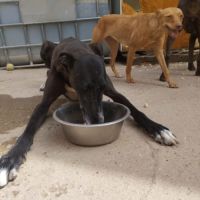 Julieta la perle noire qui fait chavirer les cœurs #3