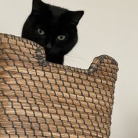 Marcel gros matou a besoin d'un jardin d'espace #1