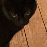 Marcel gros matou a besoin d'un jardin d'espace #2