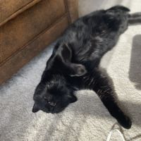 Marcel gros matou a besoin d'un jardin d'espace #0