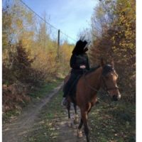 Bel ongre hispano, arabe #2