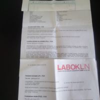 Saillie bull terrier miniature #3