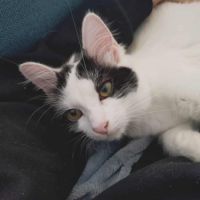 Alaïa 01/06/2025 #1