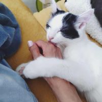 Alaïa 01/06/2025 #2