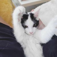 Alaïa 01/06/2025 #4