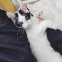 Alaïa 01/06/2025 #6