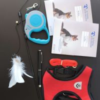 Chaton bengal loof #4