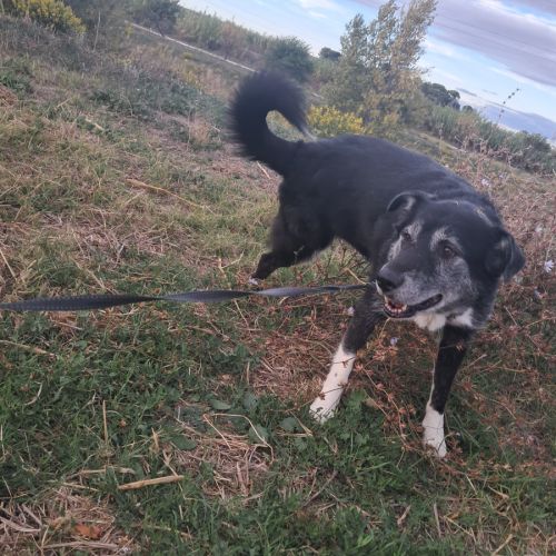 Leyo la douceur incarnée #1