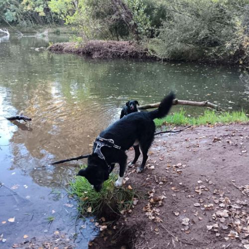 Leyo la douceur incarnée #4