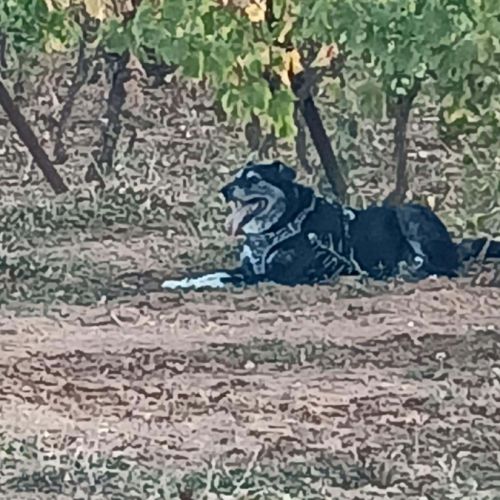 Leyo la douceur incarnée #5