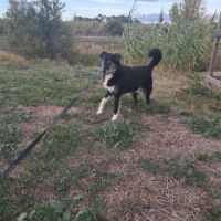 Leyo la douceur incarnée #2