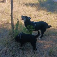 Leyo la douceur incarnée