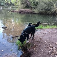 Leyo la douceur incarnée #4