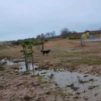 Leyo la douceur incarnée #6