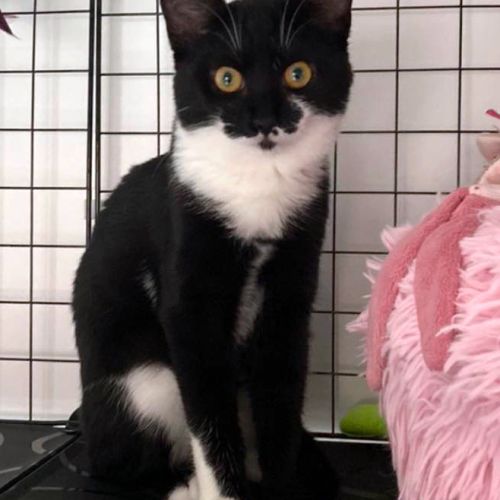 Manoli, un vrai rayon de soleil #2