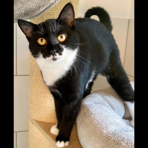 Manoli, un vrai rayon de soleil