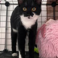 Manoli, un vrai rayon de soleil #1