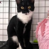 Manoli, un vrai rayon de soleil #2