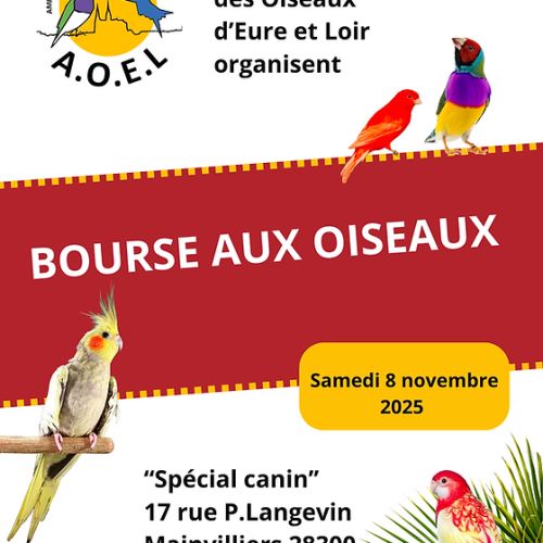 Bourse aux oiseaux