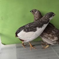 Couples et jeunes #0