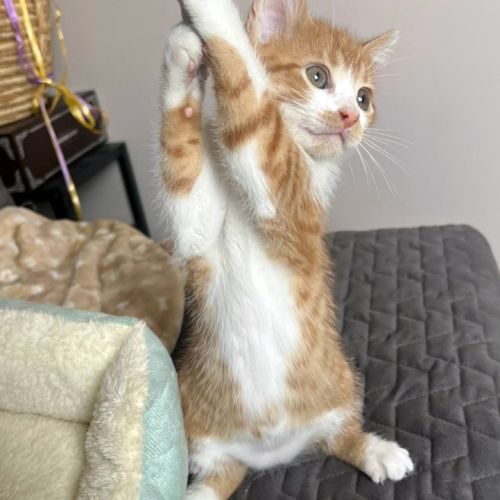 Carlow un tourbillon de vie