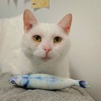 Bianca l’adoption sos #3