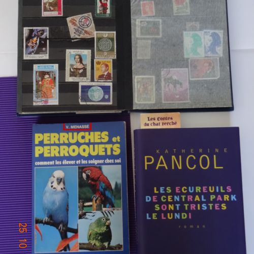 Recherche mealy xxl ( big sous chasse+pestcrops ) #6