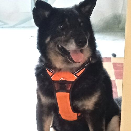 Gandalf attend sa famille ! #1